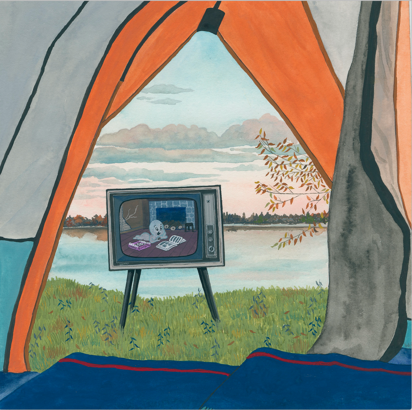 Camp Out with Cartoons Series