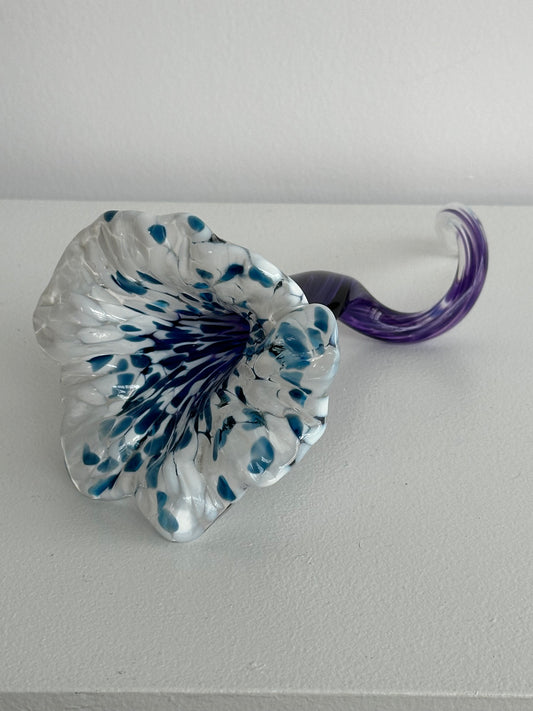Blue/White/Purple Flower